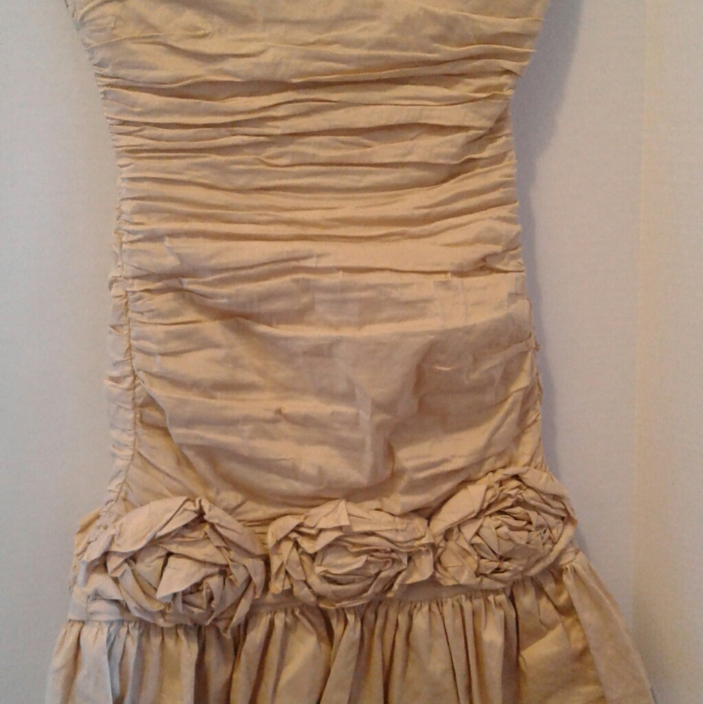 BCBG Champagne Cocktail Dress